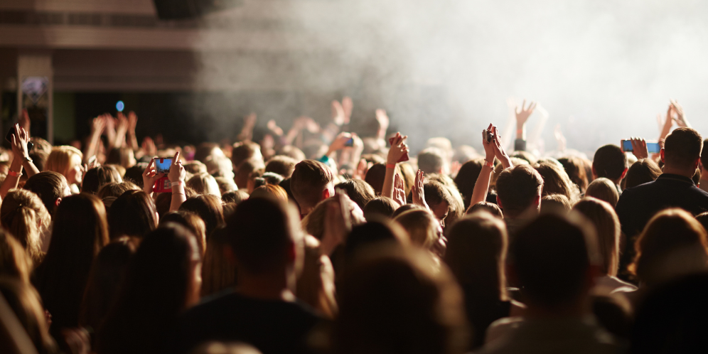 The Important Roles of Crowd Control Security at Concerts